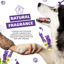 Load image into Gallery viewer, Our Dogs Life Paw Cleaner &amp; Towel

