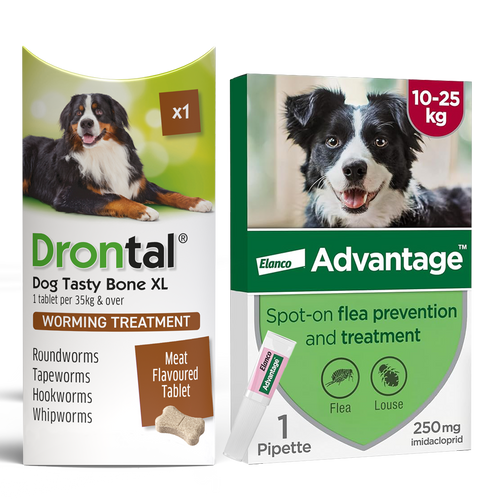 Drontal Worming Tablet & Advantage Spot-On Flea & Treatment for Large Dogs