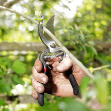 Load image into Gallery viewer, Spear &amp; Jackson Vintage Bypass and Anvil Secateurs Set
