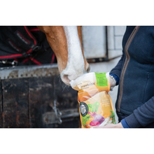 Load image into Gallery viewer, Equilibrium Simply Irresistible Horse Treat- Various Flavours 
