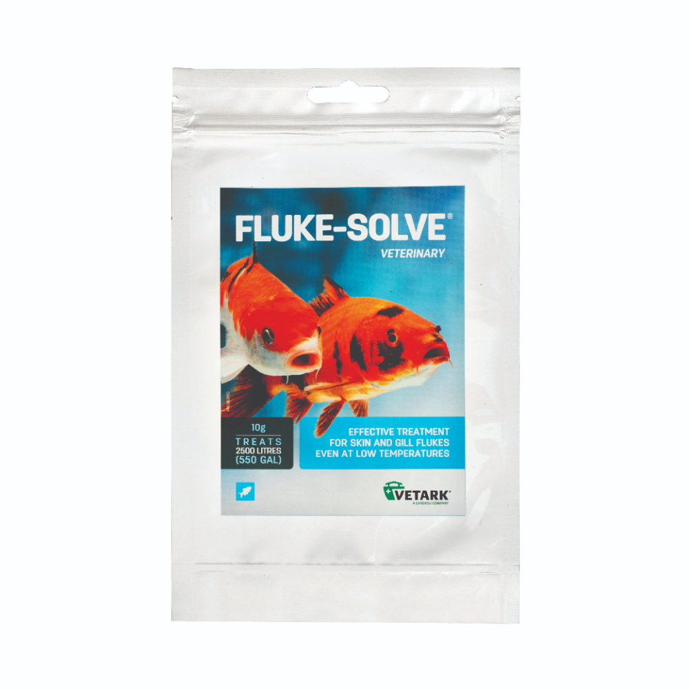 Fluke-Solve 10g & 10g Aquarium & 50g & 100g