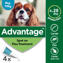 Load image into Gallery viewer, Advantage Spot On Flea Treatment For Cats, Dogs &amp; Rabbits - 4 Pipette Packs
