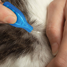 Load image into Gallery viewer, Beaphar FIPROtec Spot On Cat 6 Pipettes
