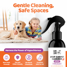 Load image into Gallery viewer, Our Dogs Life Hypochlorous Carpet Spot Cleaner 250ml
