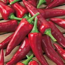 Load image into Gallery viewer, Pepper (Chilli) Cayennetta F1
