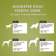 Load image into Gallery viewer, Dr John Hypoallergenic Dog Food 12.5kg – Complete Dry Food for Sensitive Dogs | Available in Duck &amp; Salmon, Chicken or Lamb &amp; Rice | VAT Free
