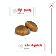 Load image into Gallery viewer, Royal Canin Maxi Adult Dry Dog Food - All Sizes

