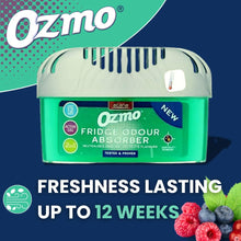 Load image into Gallery viewer, Acana Ozmo 2in1 Fridge Odour Absorber 200g
