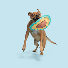 Load image into Gallery viewer, Bark Sunflower Flinger Dog Toy
