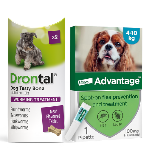 Drontal Worming Tablet & Advantage Spot-On Flea & Treatment for Medium Dogs