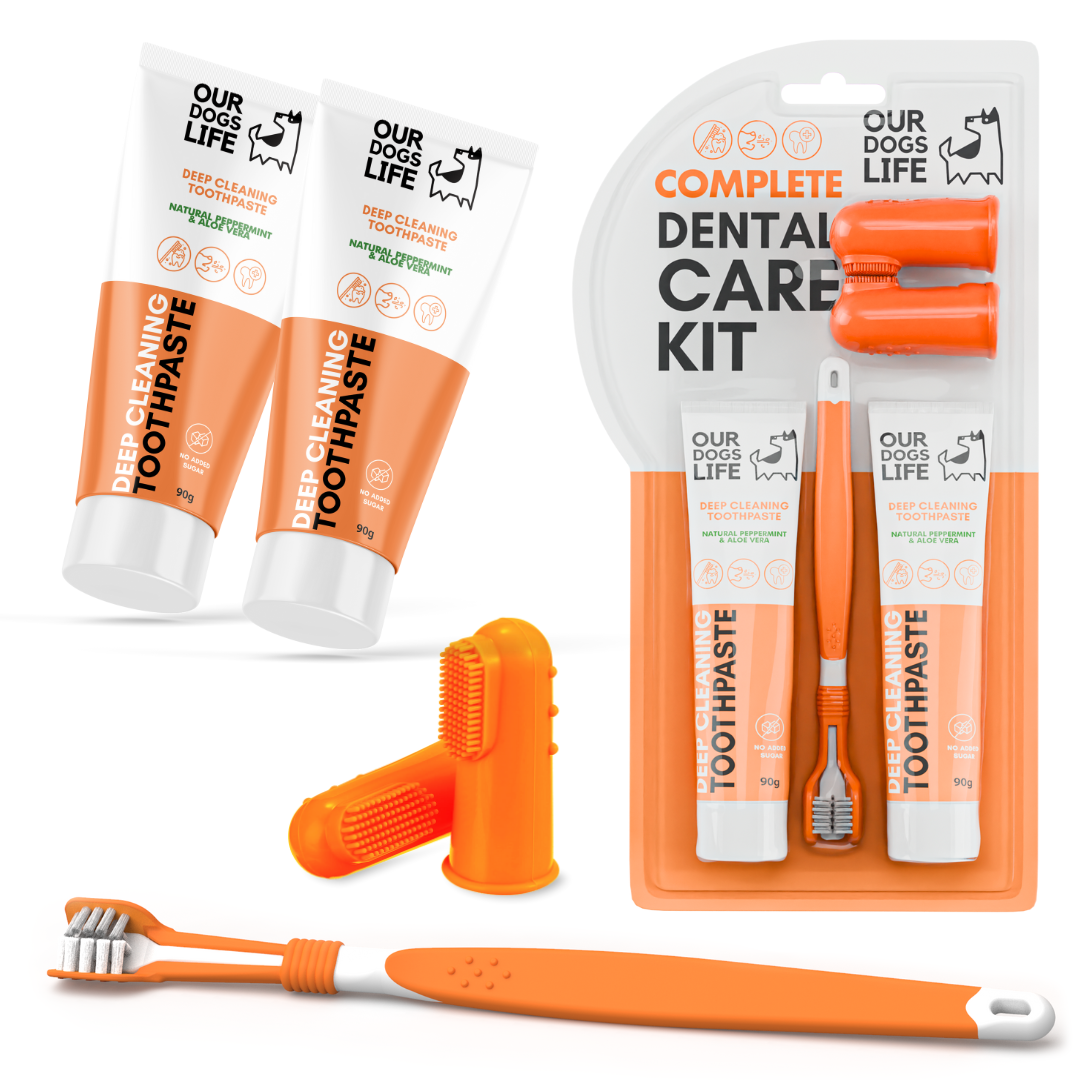 Our Dogs Life Complete Dental Kit With Deep Cleaning Toothpaste & Silicone Brush