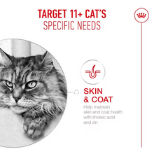 Load image into Gallery viewer, Royal Canin FHN Ageing 11+ Cat Food
