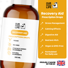 Load image into Gallery viewer, Our Dogs Life Recovery Aid Prescription Drops 200ml
