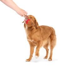 Load image into Gallery viewer, Bark A Squeaky Meat-A-Ball Dog Toy

