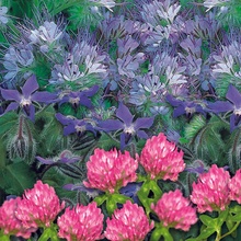 Load image into Gallery viewer, Unwins Green Manure Seeds Range

