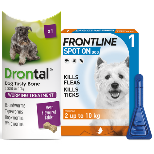 Drontal Worming Tablet & Frontline Plus Spot-On Flea & Tick Treatment for Small Dogs