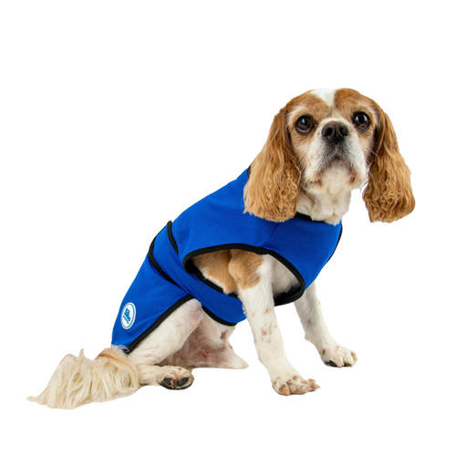 Ancol Cooling Dog Coat All Sizes