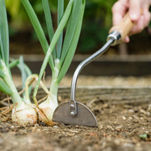 Load image into Gallery viewer, Kent &amp; Stowe Stainless Steel Hand Onion Hoe
