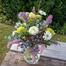 Load image into Gallery viewer, Ptilotus Matilda
