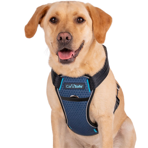 CarSafe Crash Tested Dog Harness Blue