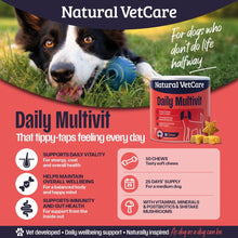 Load image into Gallery viewer, Natural VetCare Health &amp; Wellbeing Chews for Dogs – Age Well, Calm &amp; Settle, Daily Multivitamin, Gut Balance &amp; Mobility – Vet-Formulated Chews

