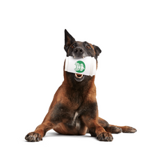 Load image into Gallery viewer, Bark Pupkin Spice Yappucino Dog Toy
