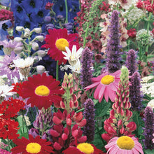 Load image into Gallery viewer, Cottage Garden Border Perennials Mix
