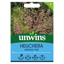 Load image into Gallery viewer, Heuchera Melting Fire
