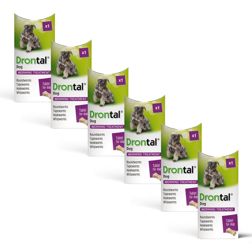 Drontal Tasty Bone Wormer Tablets, Convenient for Small & Medium Dogs (2 to 20kg) 6 Tablets