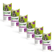 Load image into Gallery viewer, Drontal Tasty Bone Wormer Tablets, Convenient for Small &amp; Medium Dogs (2 to 20kg) 6 Tablets
