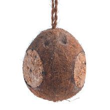 Load image into Gallery viewer, Copdock Mill Whole Coconut With 3 Holes Original 350g
