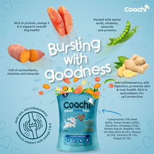 Load image into Gallery viewer, Coachi Natural Training Dog Treats Ocean Fish &amp; Sweet Potato Joint Care 100g
