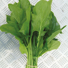 Load image into Gallery viewer, Spinach Mikado F1
