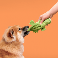 Load image into Gallery viewer, Bark Karri Crocodile Dog Toy

