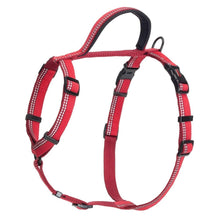 Load image into Gallery viewer, Halti Walking Harness For Dogs Various Colours &amp; Sizes
