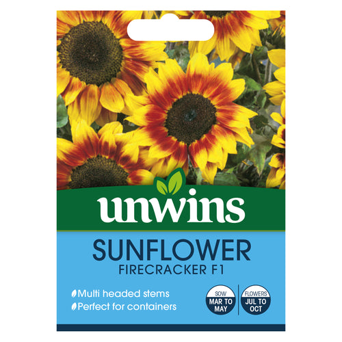 Sunflower Firecracker F1