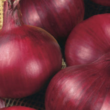 Load image into Gallery viewer, Onion (Globe) Red Baron
