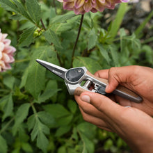 Load image into Gallery viewer, Kent &amp; Stowe Garden Life Flower Snips
