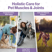 Load image into Gallery viewer, ProBioPets Daily Probiotic Joint &amp; Muscle Powder 100g
