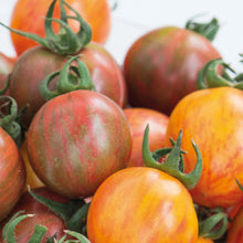 Load image into Gallery viewer, Tomato (Cherry) Bumblebee Mix
