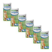 Load image into Gallery viewer, Drontal Wormer Tablets, Convenient for Small &amp; Medium Cats (Under 4kg) 6 Tablets
