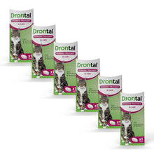 Load image into Gallery viewer, Drontal Wormer Tablets, Convenient for Large Cats (Over 4kg) 6 Tablets
