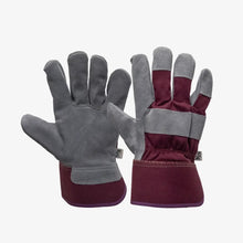 Load image into Gallery viewer, Kent &amp; Stowe All Round Triple Pack Gloves Plum
