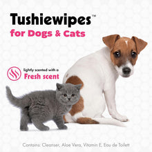 Load image into Gallery viewer, Petkin Tushie Wipes, 100 Pack – Deodorising Bottom Wipes for Dogs and Cats – Extra Large, Aloe &amp; Vitamin E, Safe for Daily Use

