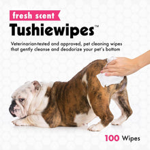 Load image into Gallery viewer, Petkin Tushie Wipes, 100 Pack – Deodorising Bottom Wipes for Dogs and Cats – Extra Large, Aloe &amp; Vitamin E, Safe for Daily Use

