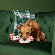 Load image into Gallery viewer, BARK Xmas Peppermice Slippies Dog Toy - Plush Mouse Slipper Squeaky Toy
