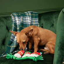 Load image into Gallery viewer, BARK Xmas Stocking Tuggers Dog Toy - 3 Plush Stockings on T-Shirt Rope Tug Toy
