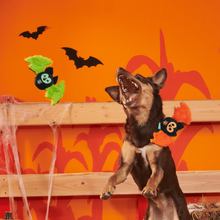 Load image into Gallery viewer, BARK Halloween Flutter and Fang Dog Toys - Plush Bat Squeaky Toys, 2 Pack

