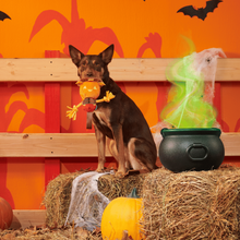 Load image into Gallery viewer, BARK Halloween Jack-Crow-Lantern Dog Toy - Plush Scarecrow Squeaky Tug Toy
