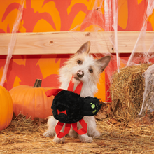 Load image into Gallery viewer, BARK Halloween Blake Widow Dog Toy - Plush Spider Toy with Spiky Squeaker Ball and Tug Straps
